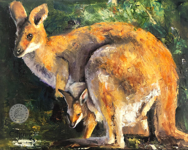 wallaby , joey ,Australian wildlife