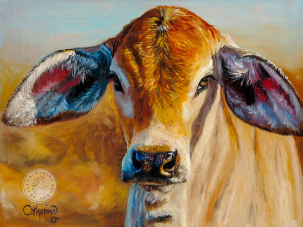 brahman,calf,painting,Pilbara
